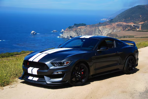 Ford Ford Mustang Shelby GT350R 2016